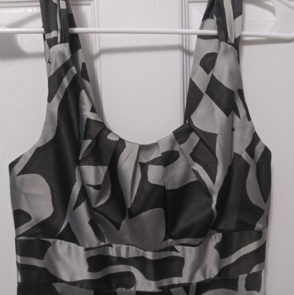 The Limited Dress - Picture 3 of 5